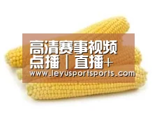 产品名称五