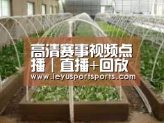 环境展示五