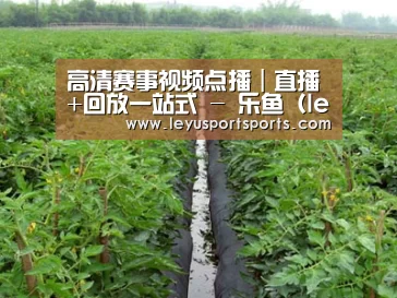 种植基地三