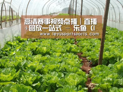 种植基地五