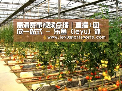种植基地二(图1)