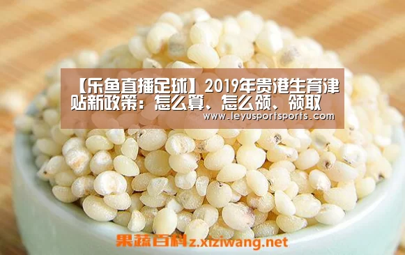 乐鱼直播电脑版