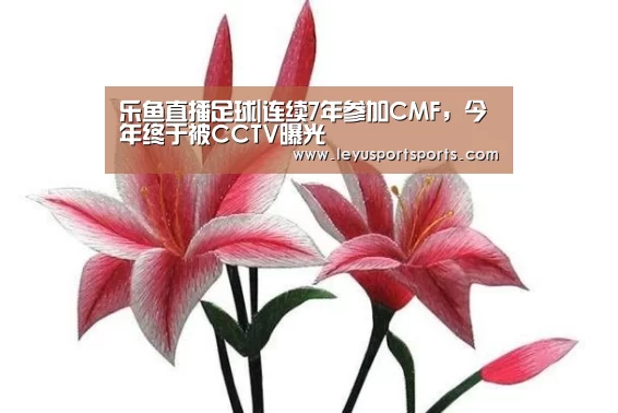 乐鱼直播足球|连续7年参加CMF,今年终于被CCTV曝光(图1) 乐鱼直播足球