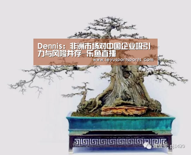 乐鱼直播足球