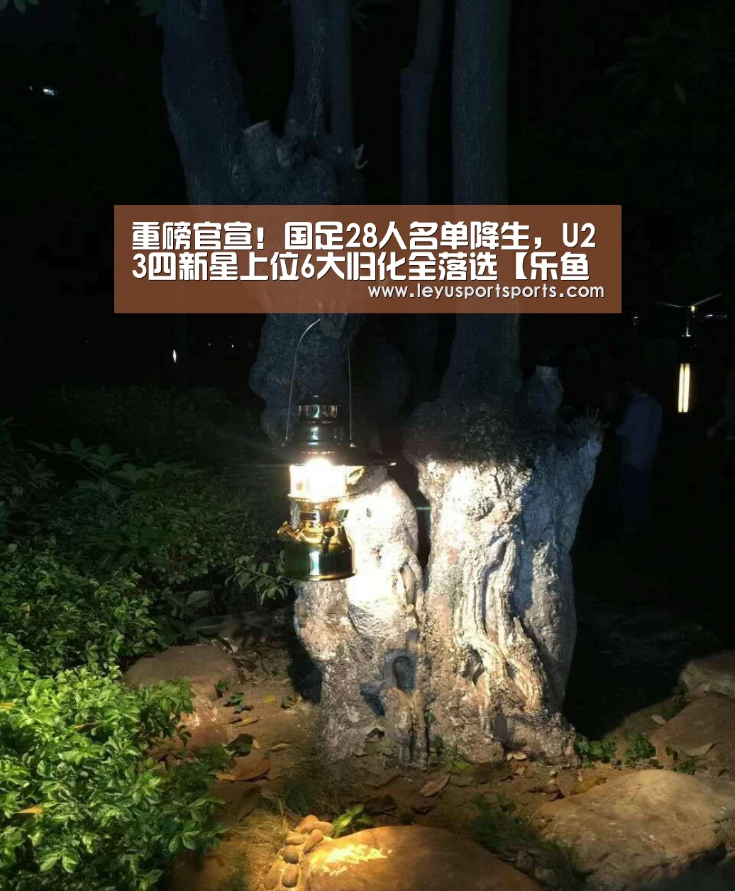 重磅官宣!国足28人名单降生,U23四新星上位6大归化全落选【乐鱼体育直播官网】(图2) 乐鱼直播