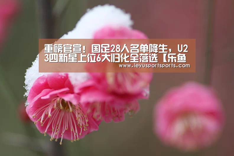 重磅官宣!国足28人名单降生,U23四新星上位6大归化全落选【乐鱼体育直播官网】(图3) 乐鱼直播