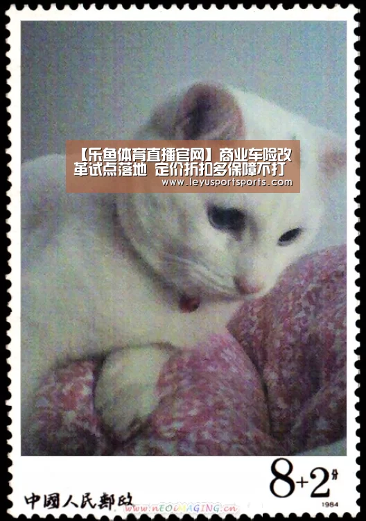 乐鱼直播足球