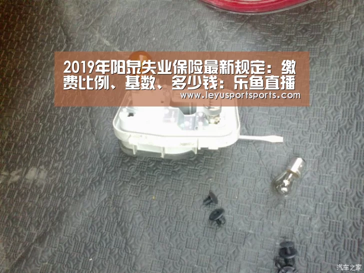 乐鱼体育直播官网