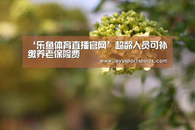 乐鱼直播电脑版