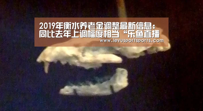 2019年衡水养老金调整最新信息:同比去年上调幅度相当“乐鱼直播电脑版”(图2) 乐鱼直播