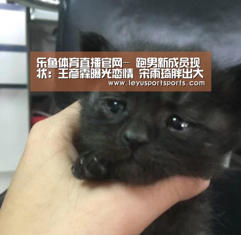 乐鱼体育直播官网-
跑男新成员现状:王彦霖曝光恋情 宋雨琦胖出大象腿 他资源炸裂(图2) 乐鱼直播足球