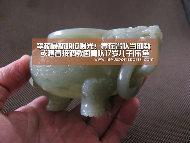 李楠最新职位曝光!竟在省队当助教 或想直接调教国青队17岁儿子|乐鱼直播电脑版(图2) 乐鱼体育直播官网