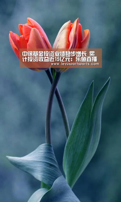 中保基金投资业绩稳步增长 累计投资收益近15亿元:乐鱼直播电脑版(图3) 乐鱼体育直播官网